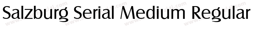 Salzburg Serial Medium Regular字体转换